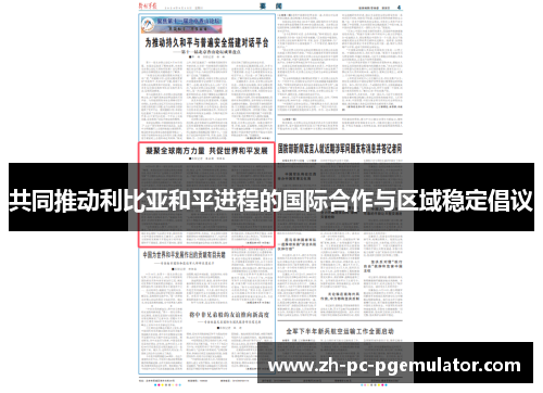 共同推动利比亚和平进程的国际合作与区域稳定倡议