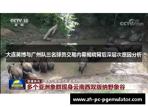 大连英博与广州队三名球员交易内幕揭晓背后深层次原因分析