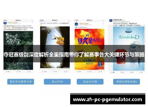 夺冠赛级别深度解析全面指南带你了解赛事各大关键环节与策略