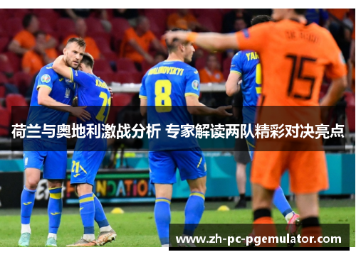 荷兰与奥地利激战分析 专家解读两队精彩对决亮点