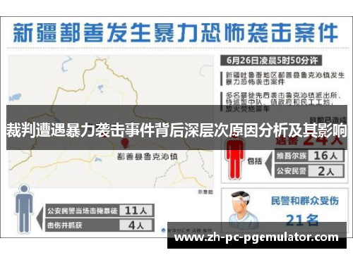 裁判遭遇暴力袭击事件背后深层次原因分析及其影响