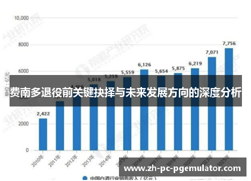 费南多退役前关键抉择与未来发展方向的深度分析