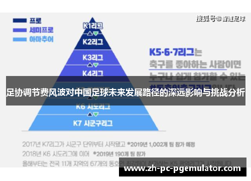 足协调节费风波对中国足球未来发展路径的深远影响与挑战分析