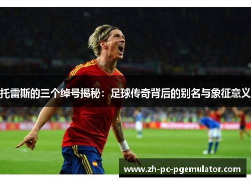 托雷斯的三个绰号揭秘：足球传奇背后的别名与象征意义