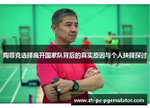 陶菲克选择离开国家队背后的真实原因与个人抉择探讨