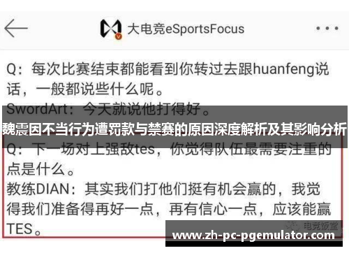 魏震因不当行为遭罚款与禁赛的原因深度解析及其影响分析